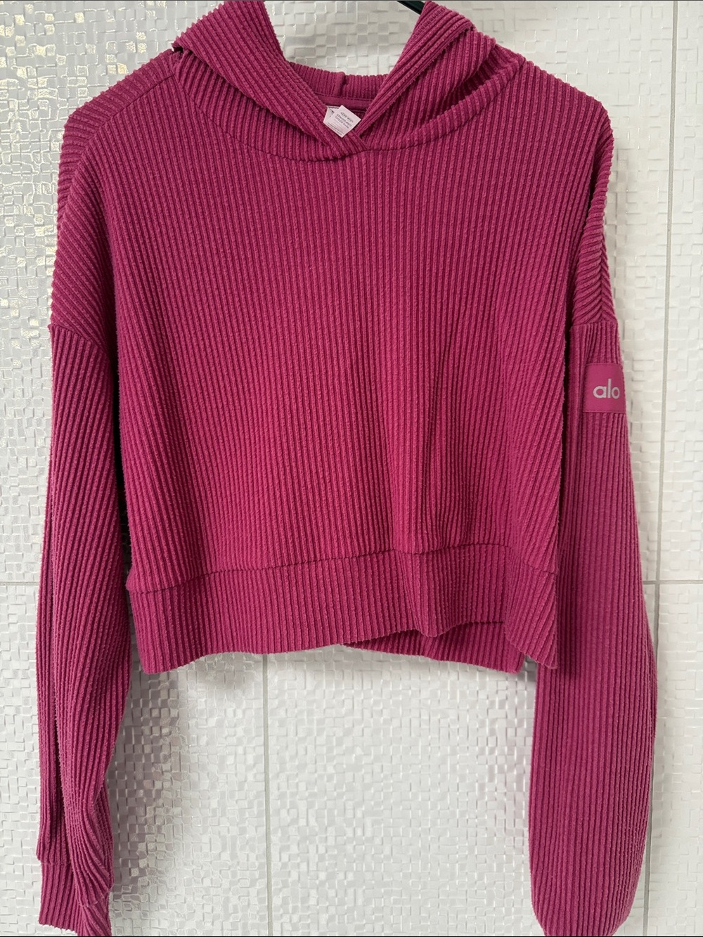 ALO Yoga Cropped Ribbed Hoodie in Raspberry